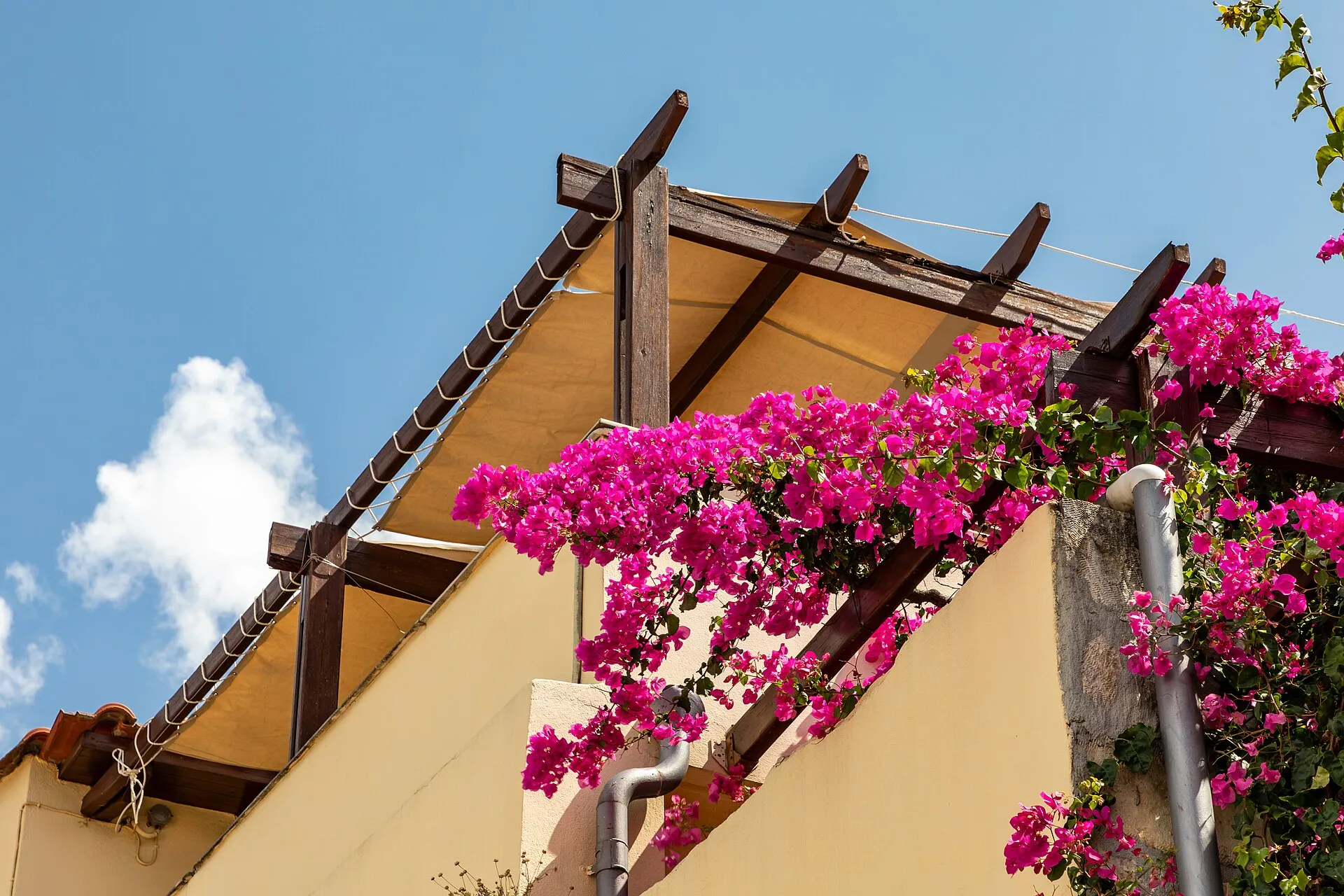Une pergola végétalisée qui crée une terrasse ombragée